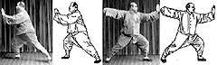 Tai Chi chuan by Yang ChengFu PDF